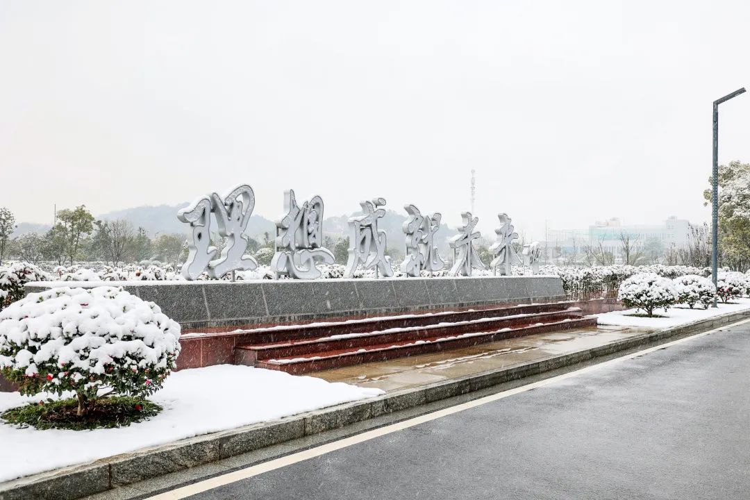 瑞雪兆有年，邀您共赏雪中尊龙凯时！